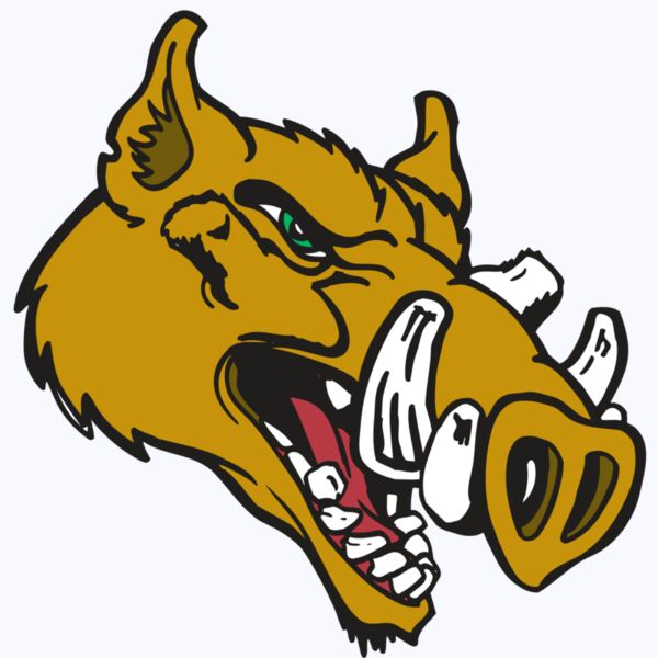 AR RAZORBACK 17 RC Thumbnail