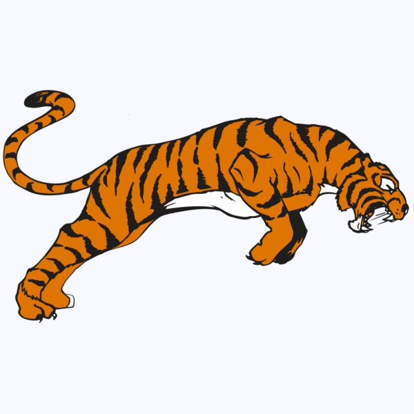 AR TIGER 79 RC Thumbnail