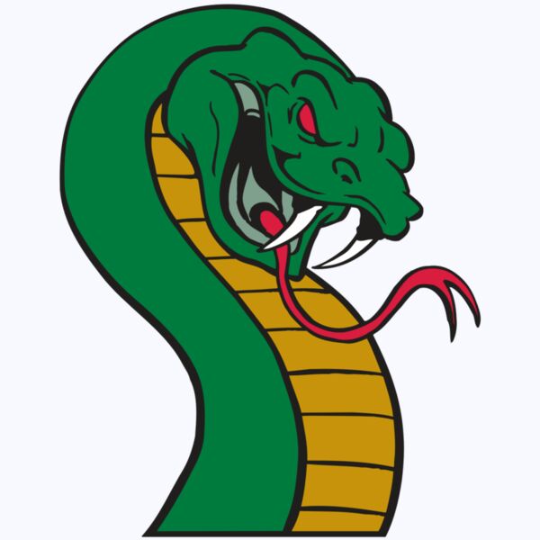 AR SNAKE 12 RC Thumbnail