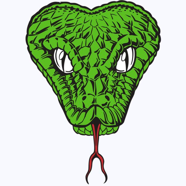 BAW SNAKE 08 RC Thumbnail