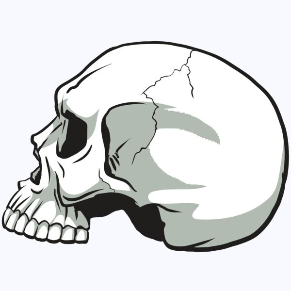 AR24 SKULL 11 RQC Thumbnail