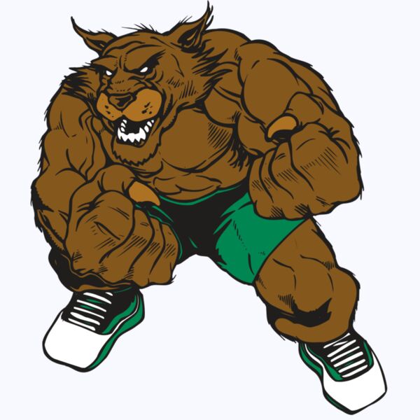 AR WILDCAT 45 RC Thumbnail