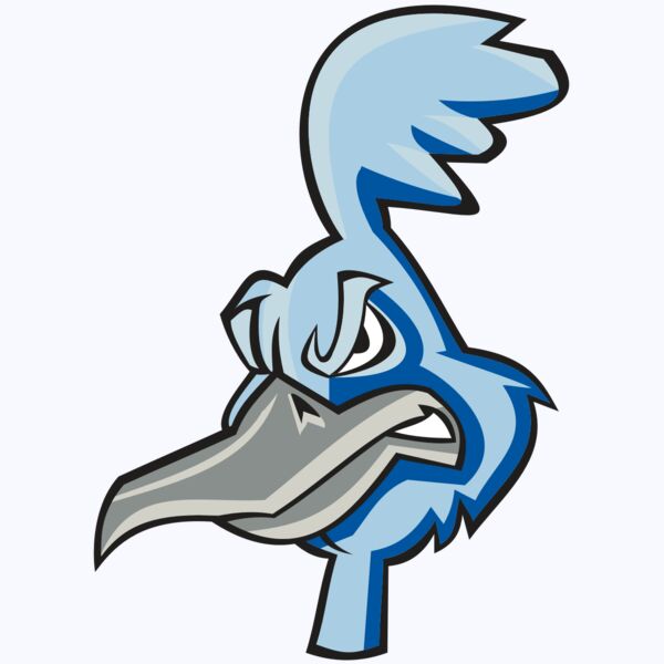 ROADRUNNER HD0501 RQC Thumbnail