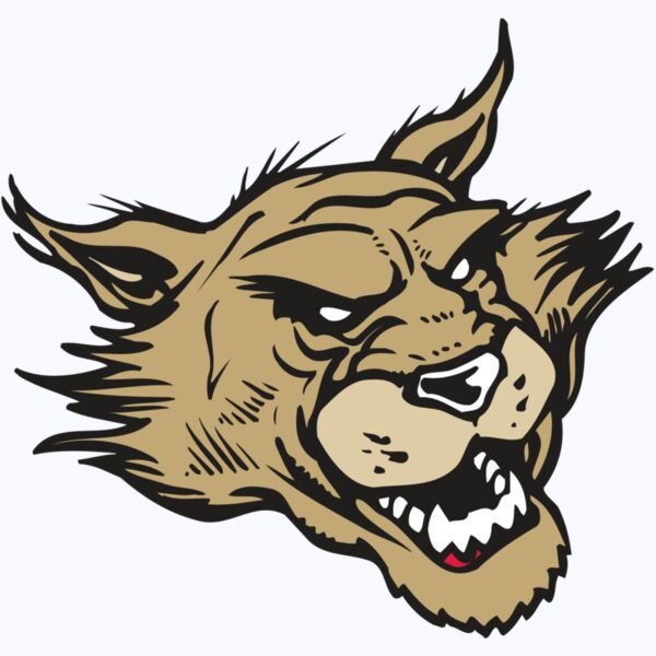 AR WILDCAT 39 RC Thumbnail