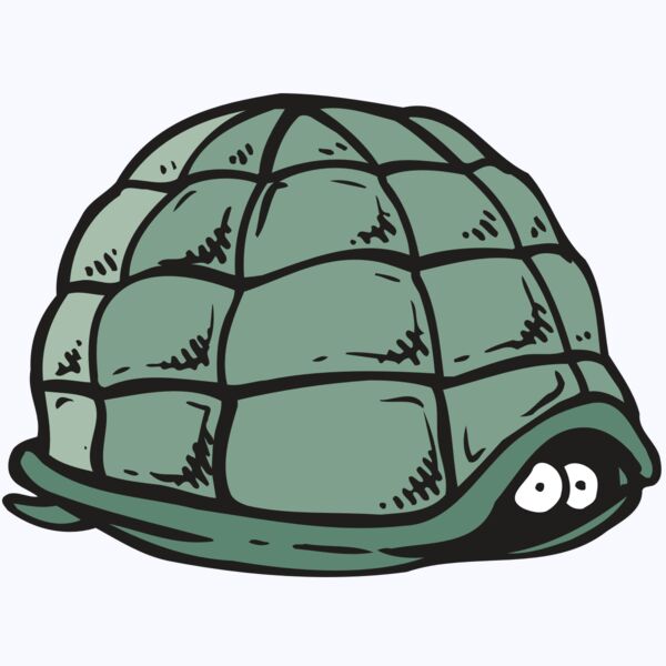 AR5 Turtle 10 RQC Thumbnail