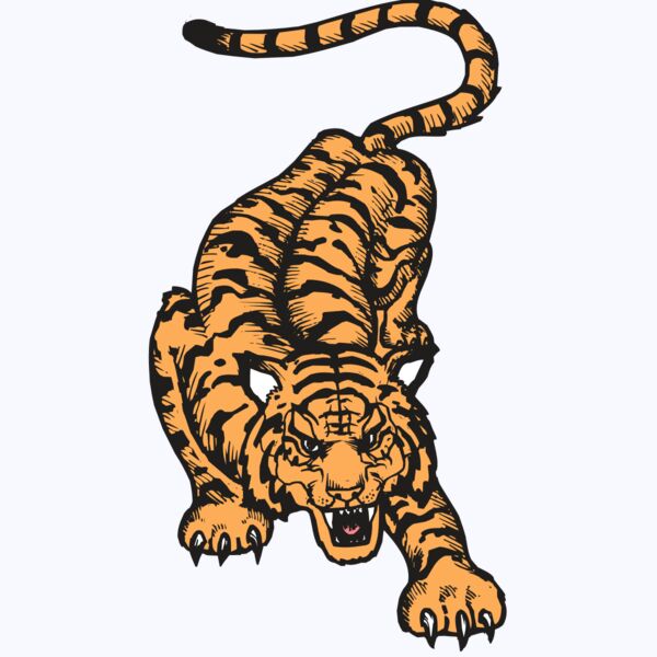 BAW TIGER 01 RC Thumbnail