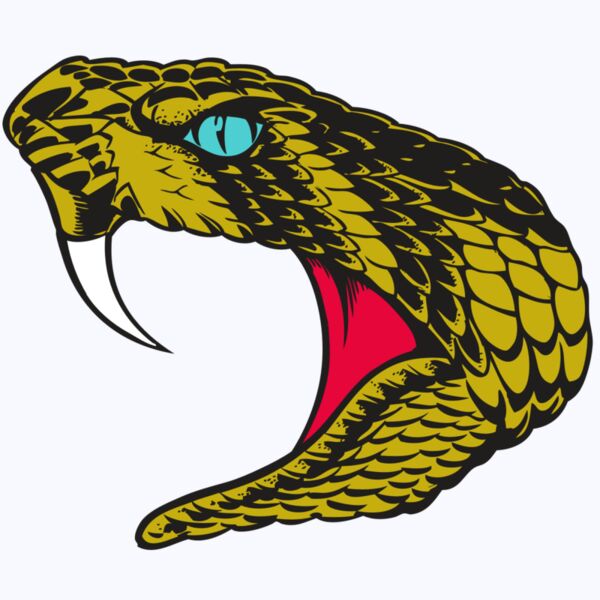 BAW SNAKE 16 RC Thumbnail