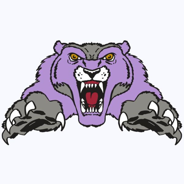 AR WOLVERINE 17 RC Thumbnail