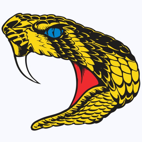 BAW SNAKE 06 RC Thumbnail