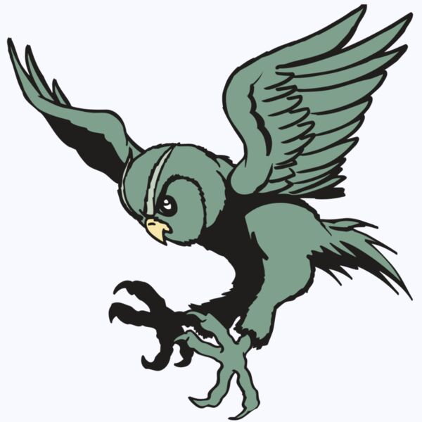 AR OWL 15 RC Thumbnail