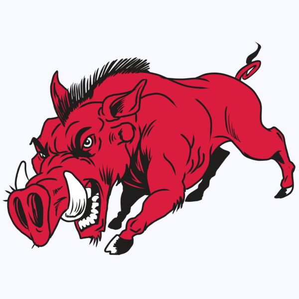 AR22 RAZORBACK 01 RQC Thumbnail