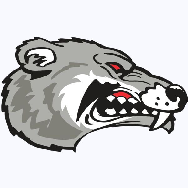 AR WOLVERINE 13 RC Thumbnail