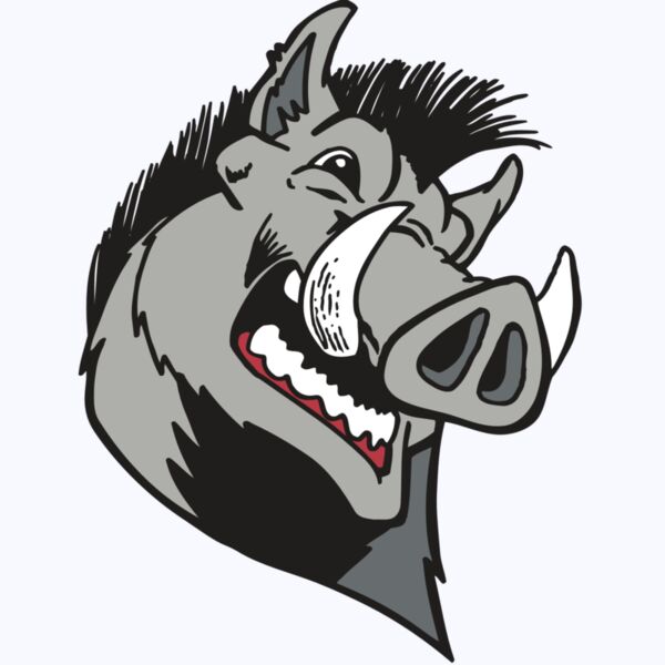 AR RAZORBACK 15 RC Thumbnail