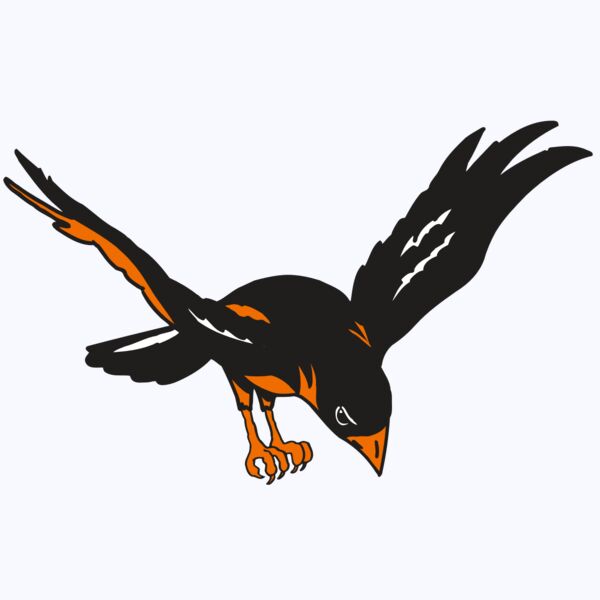 AR ORIOLE 16 RC Thumbnail