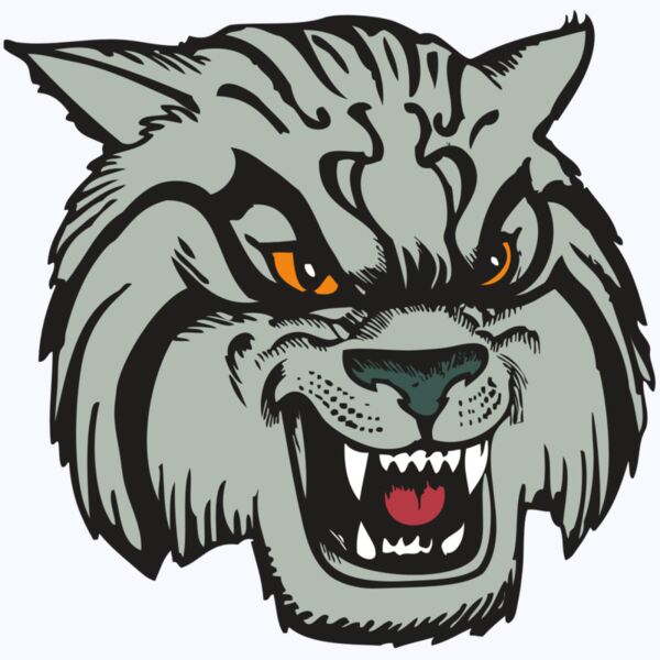 BAW WILDCAT 03 RC Thumbnail