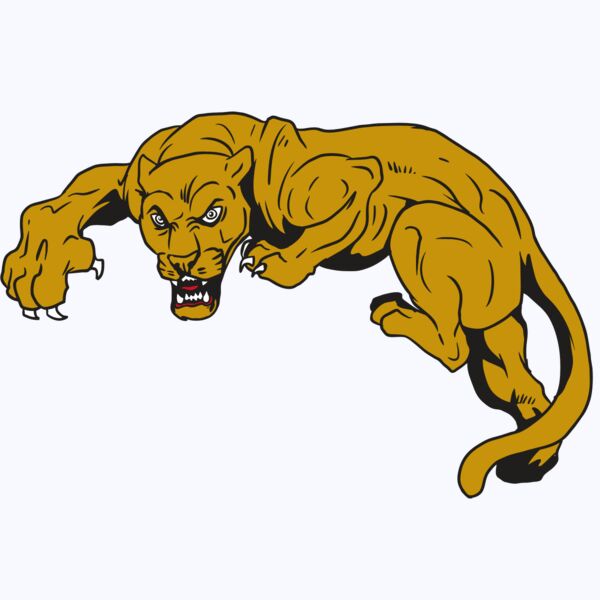 AR10 PANTHER 02 RQC Thumbnail