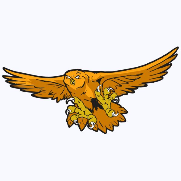 AR31 OWL 01 RQC Thumbnail