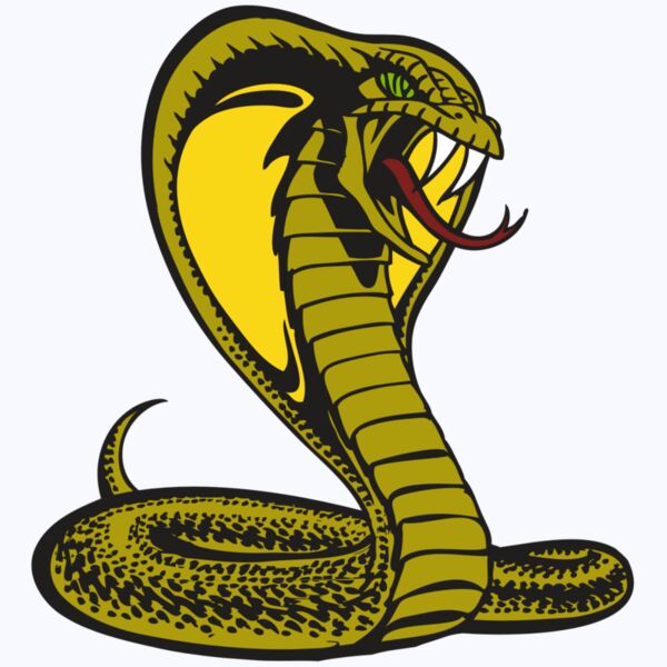 BAW SNAKE 02 RC Thumbnail