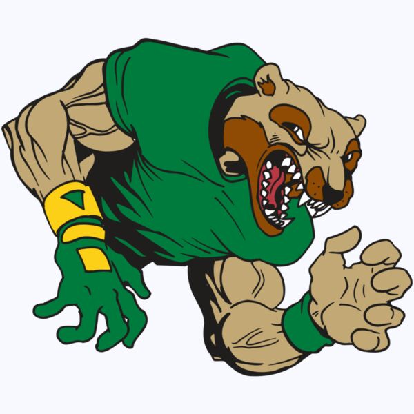 AR5 Wolverine 17 RQC Thumbnail