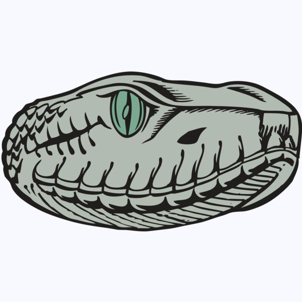 BAW SNAKE 10 RC Thumbnail