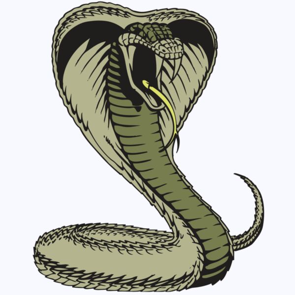 BAW SNAKE 07 RC Thumbnail