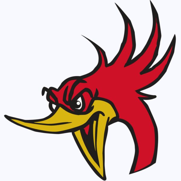 AR31 ROADRUNNER 02 RQC Thumbnail