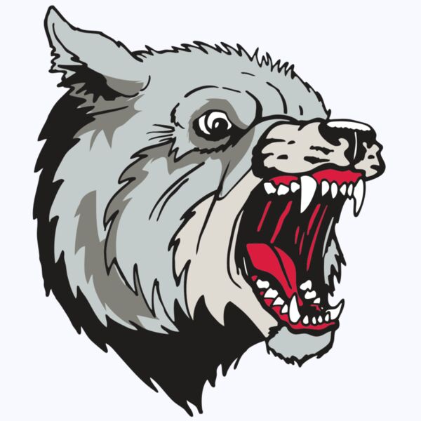 AR WOLF 38 RC Thumbnail