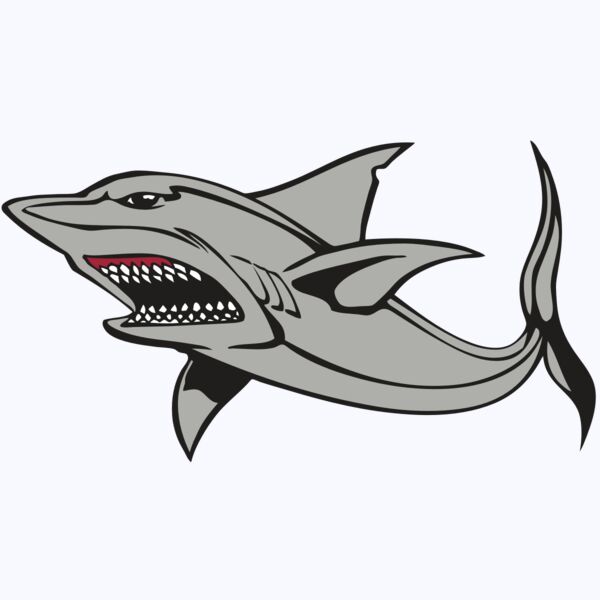 BAW SHARK 03 RC Thumbnail