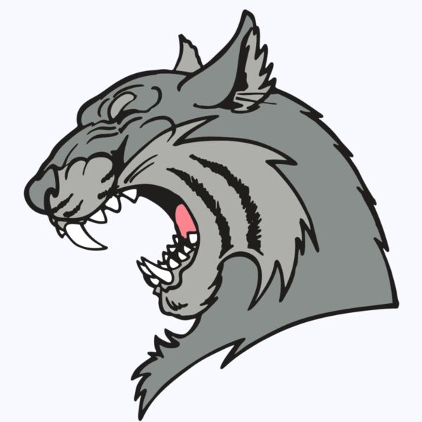 AR WILDCAT 41 RC Thumbnail