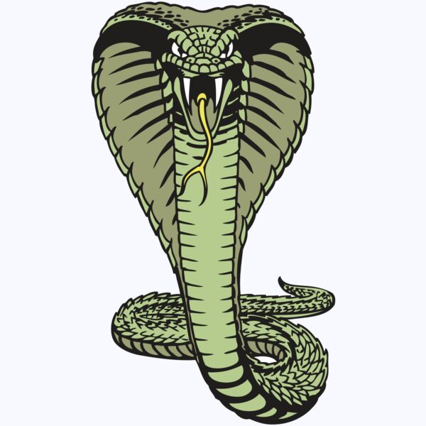 BAW SNAKE 15 RC Thumbnail