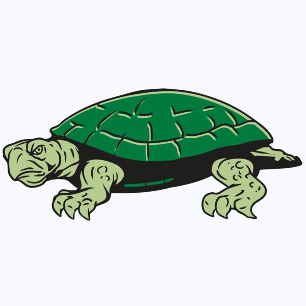 AR32 TURTLE 01 RQC Thumbnail