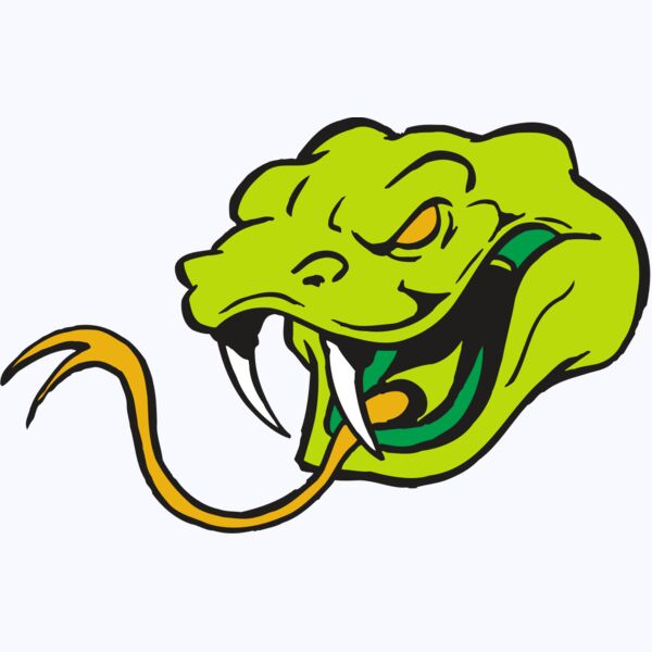 AR SNAKE 11 RC Thumbnail