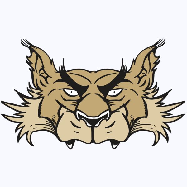 AR5 Wolf 28 RQC Thumbnail