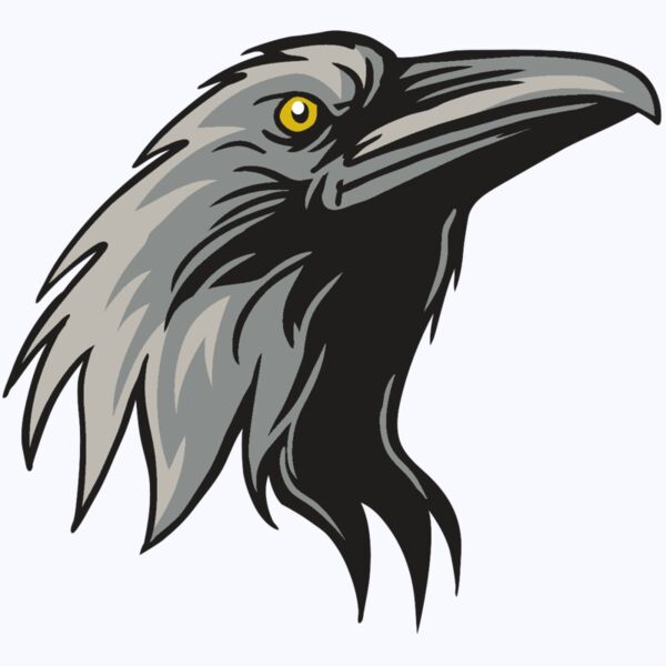 AR31 RAVEN 01 RQC Thumbnail