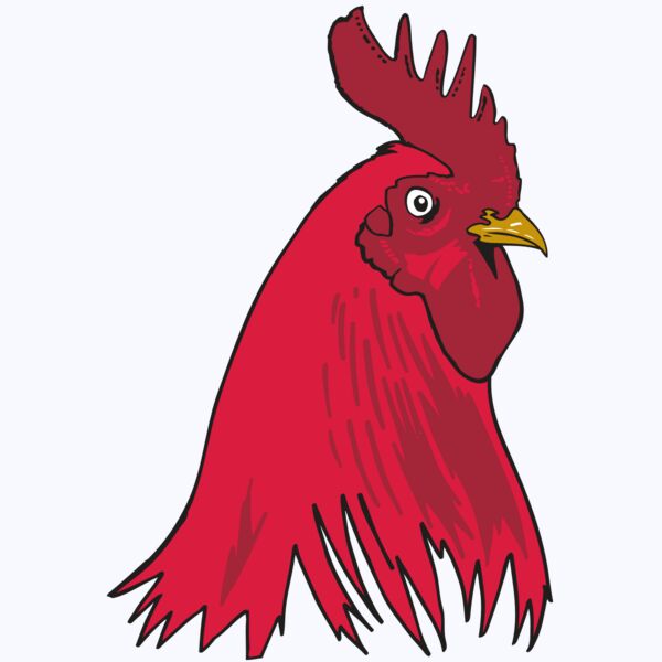 AR OTHER 19 RC Thumbnail