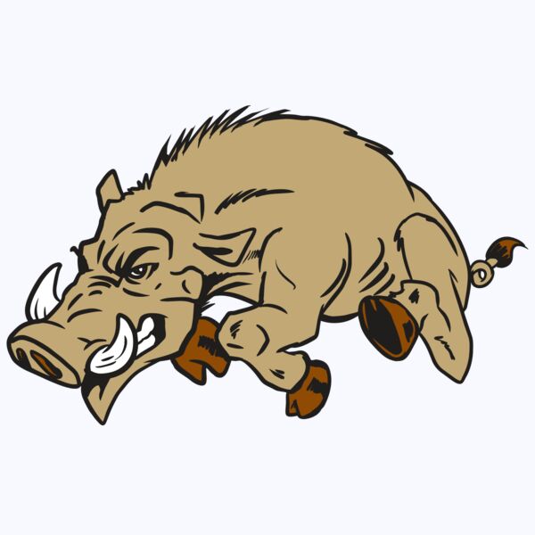 AR20 RAZORBACK 37 RQC Thumbnail