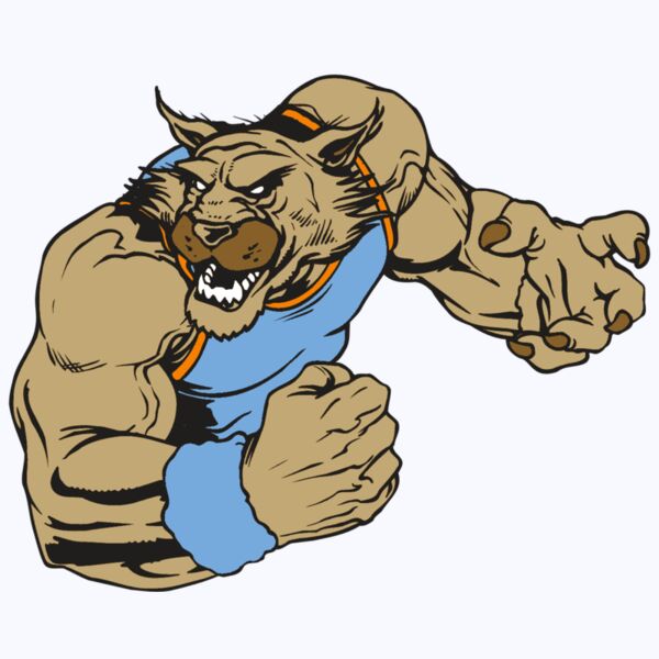 AR WILDCAT 46 RC Thumbnail