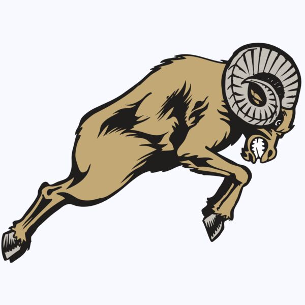 BAW RAM 04 RC Thumbnail