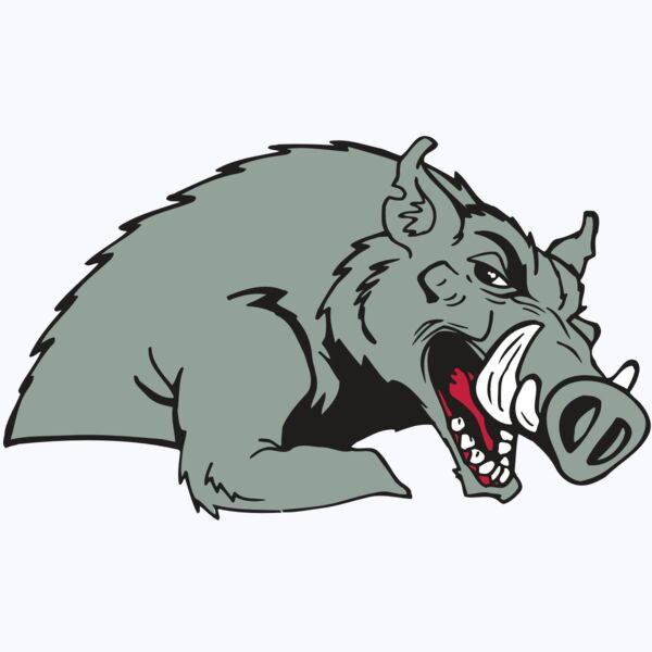 AR RAZORBACK 14 RC Thumbnail