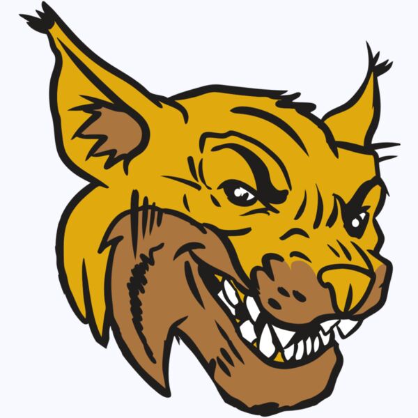 AR15 WILDCAT 01 RQC Thumbnail