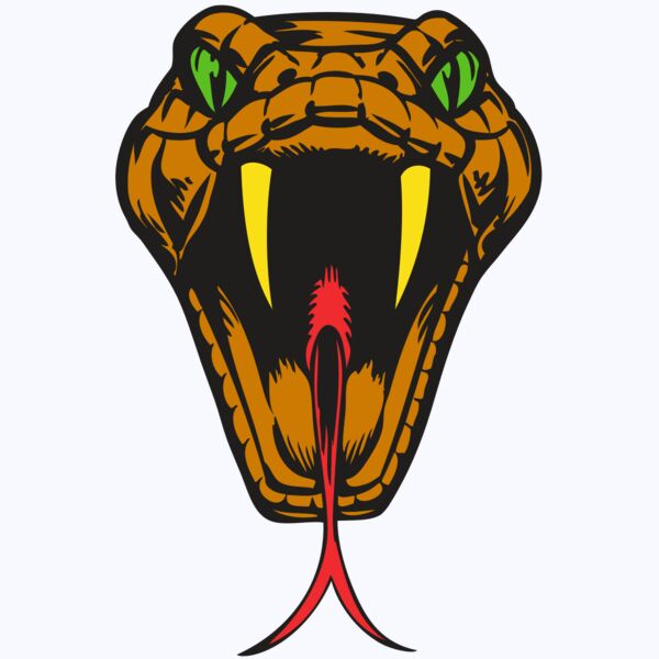 BAW SNAKE 05 RC Thumbnail