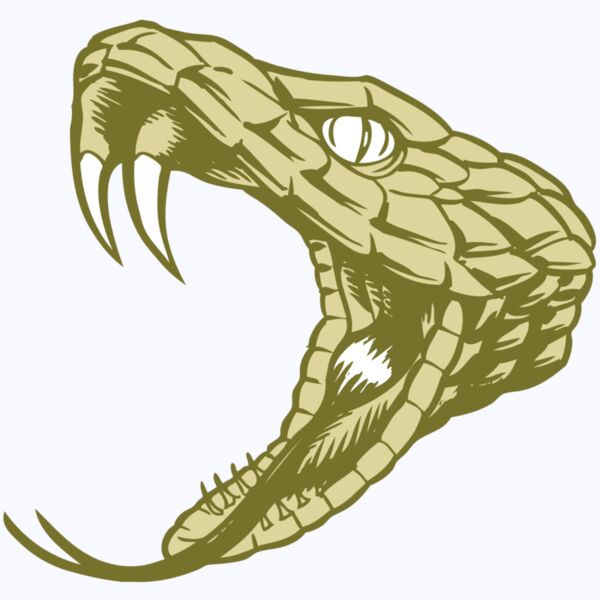 BAW SNAKE 11 RC Thumbnail