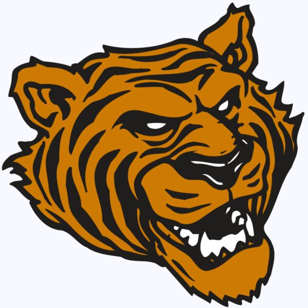 AR TIGER 43 RC Thumbnail