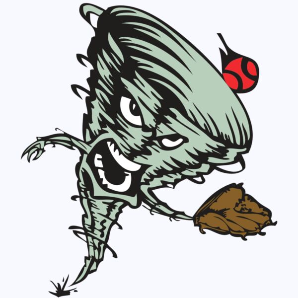 BAW STORM 09 RC Thumbnail