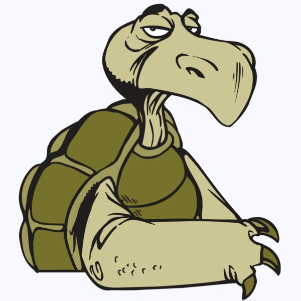 AR5 Turtle 01 RQC Thumbnail