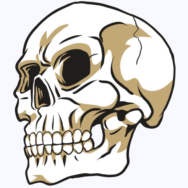 AR24 SKULL 08 RQC Thumbnail