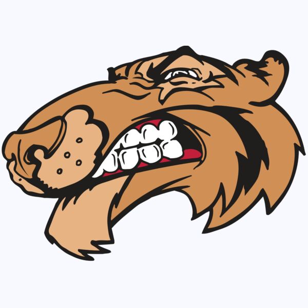 AR5 Tiger 13 RQC Thumbnail