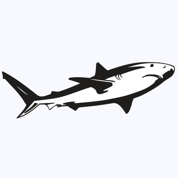 AR5 Shark 15 RQC Thumbnail