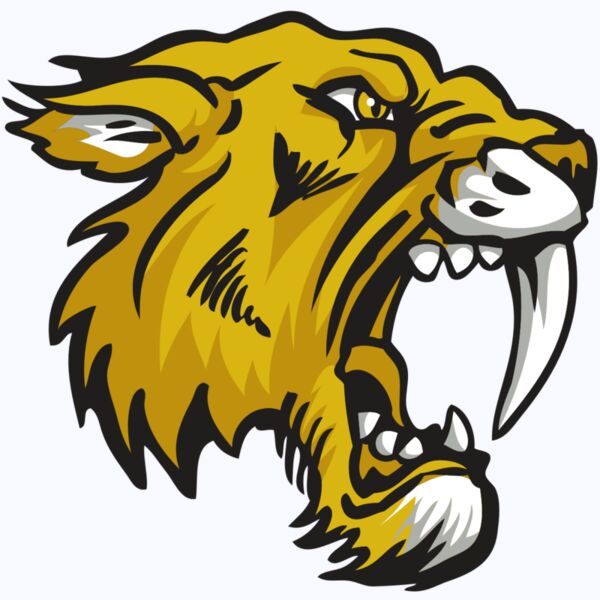 AR30 SABER 03 RQC Thumbnail