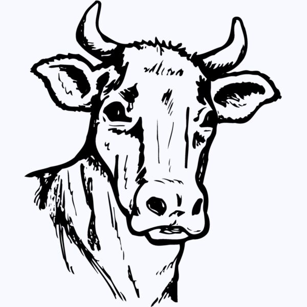 COW006 Thumbnail